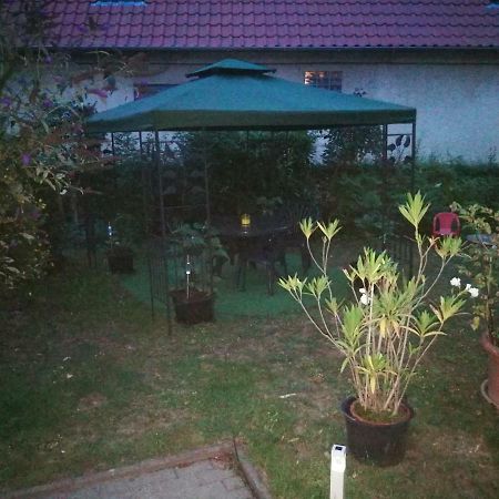 Ferienwohnung Am Finkenherd Dankerode  Dış mekan fotoğraf