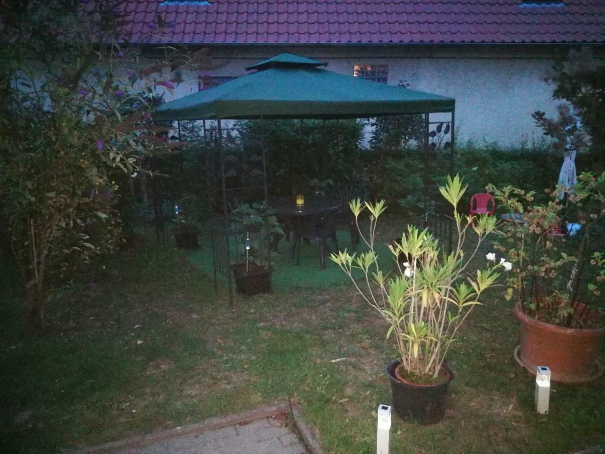 Ferienwohnung Am Finkenherd Dankerode  Dış mekan fotoğraf